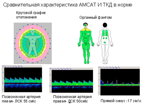 Сравнительная характеристика АМСАТ и ТКД в норме