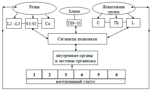 Схема проведения математической оценки результатов исследования